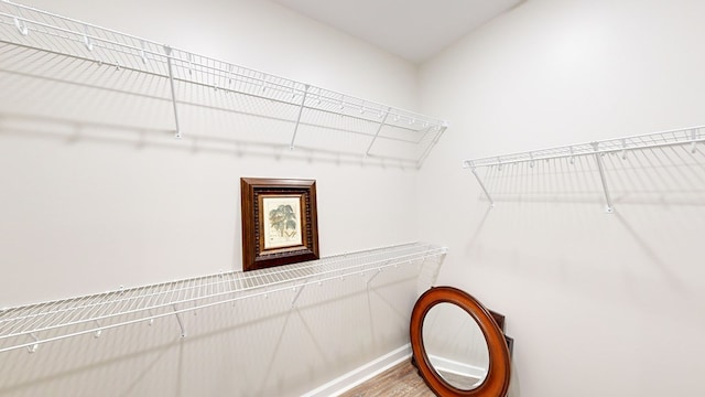 walk in closet with wood-type flooring