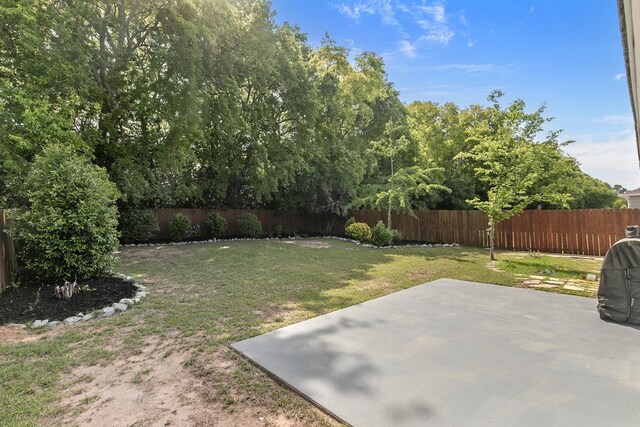 404 Powder Horn Dr, Midland City, AL 36350 - view of yard with a fenced backyard and a patio