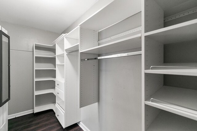 404 Powder Horn Dr, Midland City, AL 36350 - walk in closet with dark wood-type flooring