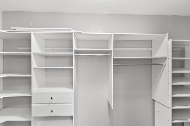 404 Powder Horn Dr, Midland City, AL 36350 - view of spacious closet