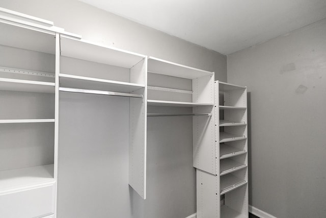 404 Powder Horn Dr, Midland City, AL 36350 - view of spacious closet
