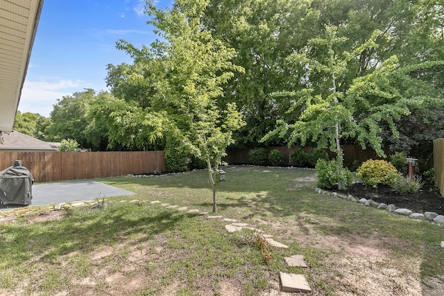 404 Powder Horn Dr, Midland City, AL 36350 - view of yard with a fenced backyard and a patio