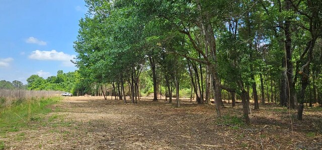 681 Cobb Rd Unit 15.6, Acres, Rehobeth, AL 36301 - photo 42