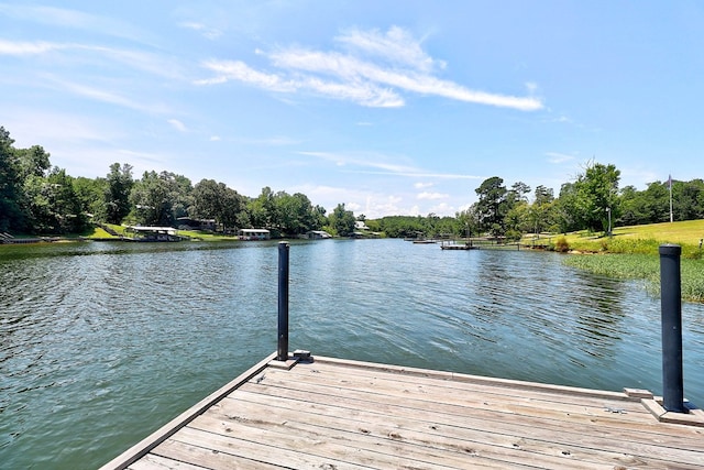 1272 Otho Rd, Abbeville, AL 36310 - dock featuring a water view