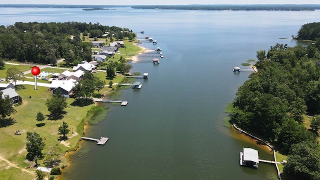 1272 Otho Rd, Abbeville, AL 36310 - aerial view of a large body of water