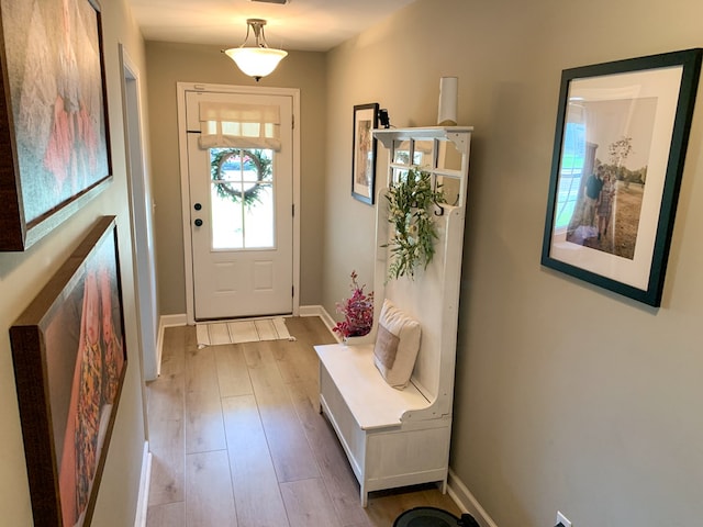202 Moonlight Ln, Midland City, AL 36350 - foyer featuring light wood-type flooring and baseboards