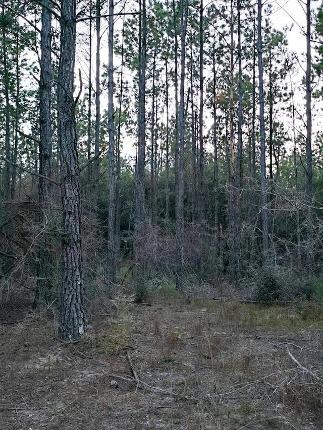 0 Gopher Ridge Rd, Samson AL, 36477 land for sale