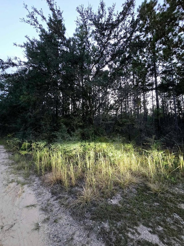 Listing photo 3 for 0 Gopher Ridge Rd, Samson AL 36477