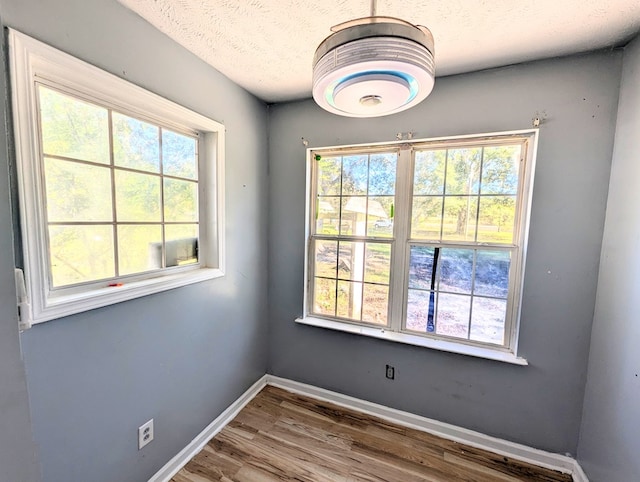 spare room with a wealth of natural light, wood-type flooring, and a textured ceiling