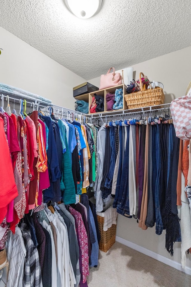 spacious closet with carpet flooring