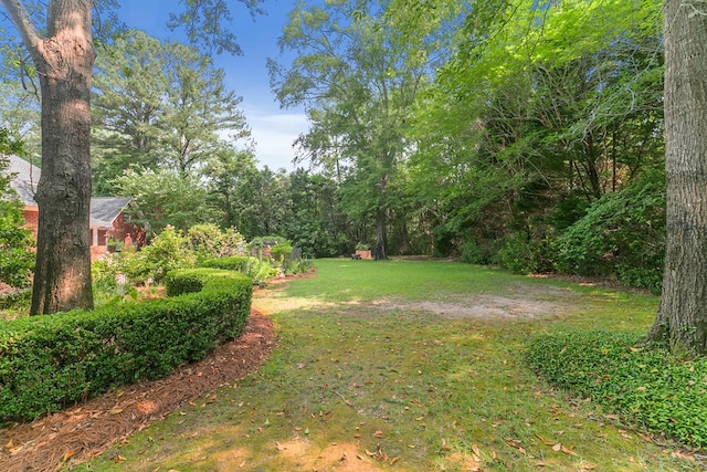 203 Liveoak Trl, Dothan, AL 36305 - view of grassy yard