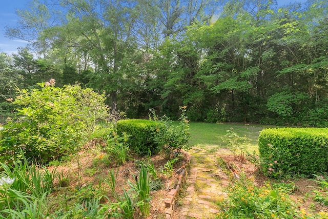 203 Liveoak Trl, Dothan, AL 36305 - view of grassy yard