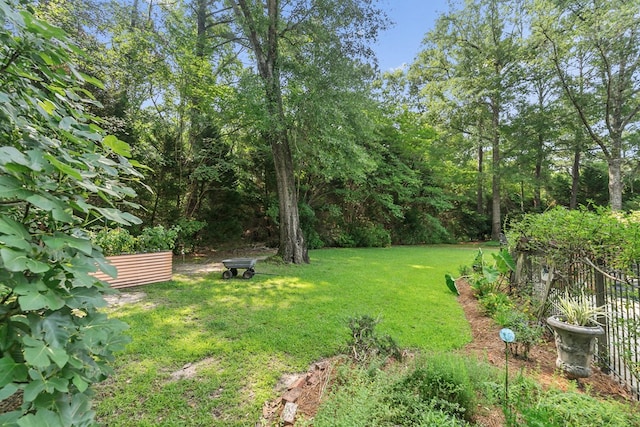 203 Liveoak Trl, Dothan, AL 36305 - view of grassy yard