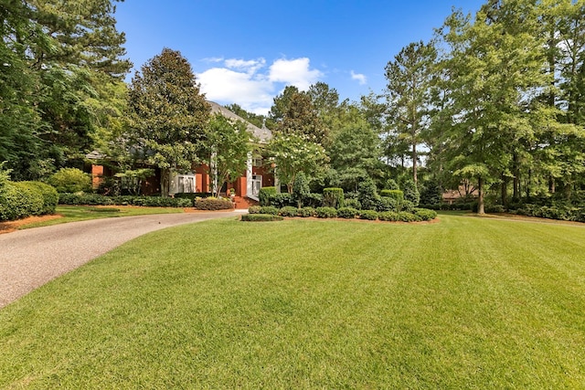 203 Liveoak Trl, Dothan, AL 36305 - view of property hidden behind natural elements with a front lawn and driveway