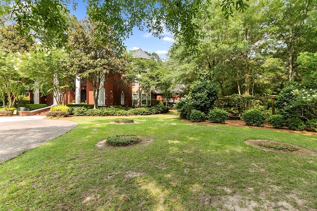 203 Liveoak Trl, Dothan, AL 36305 - view of grassy yard