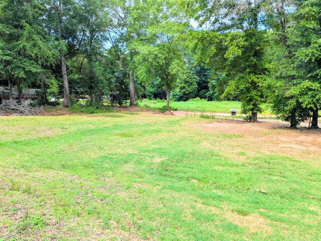 294 Dogwood St, Midland City, AL 36350 - photo 25