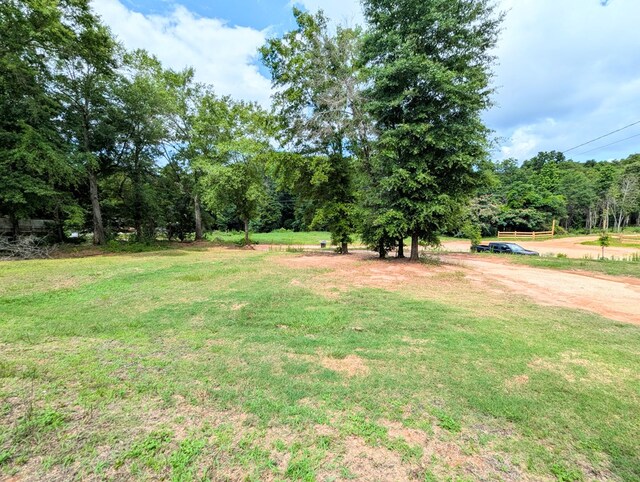 294 Dogwood St, Midland City, AL 36350 - photo 24