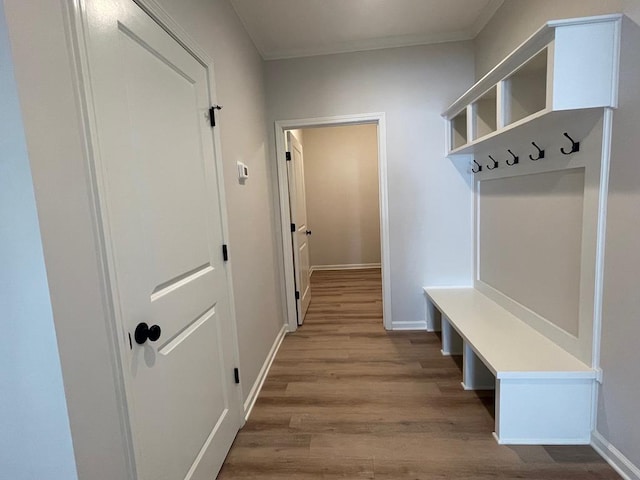 mudroom featuring crown molding and light wood-type flooring