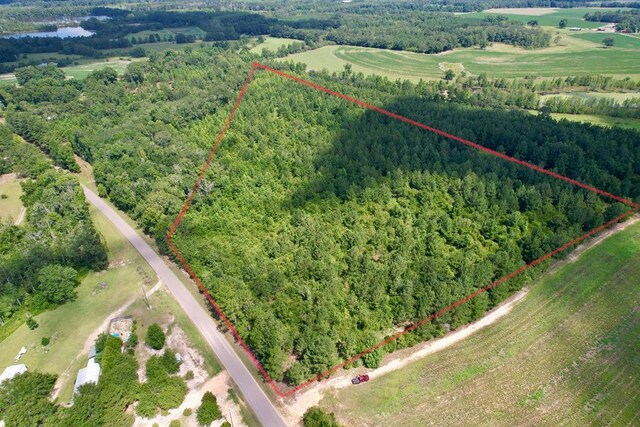 0 E County Road 4, Hartford, AL 36344