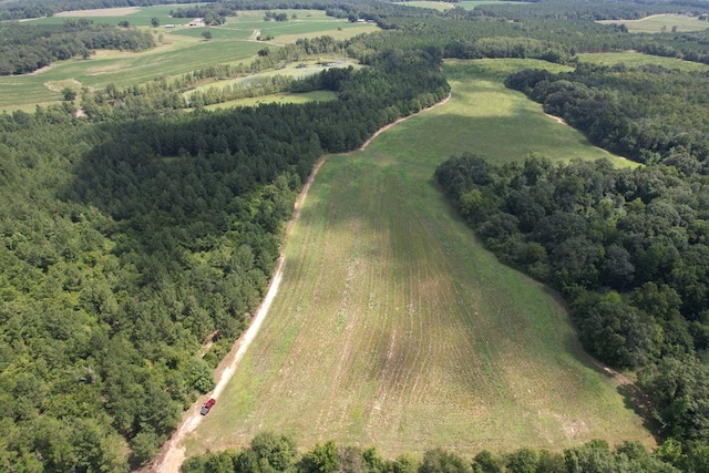0 E County Road 4, Hartford, AL 36344