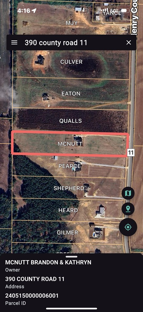 390 County Road 11, Headland, AL 36345 - photo 52