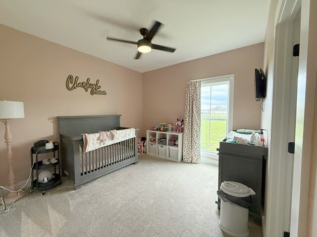 390 County Road 11, Headland, AL 36345 - photo 33
