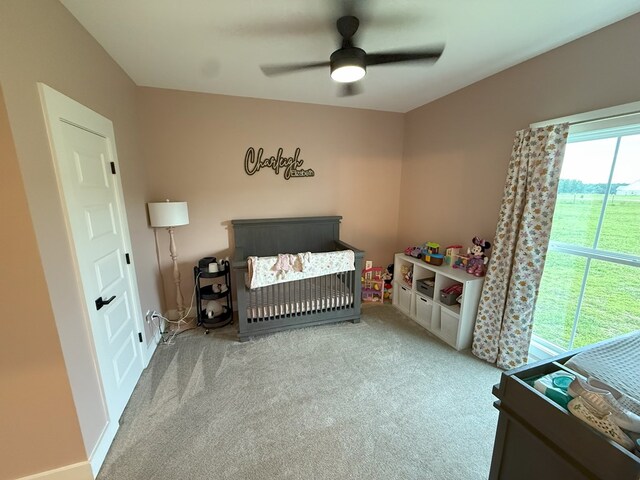 390 County Road 11, Headland, AL 36345 - photo 32