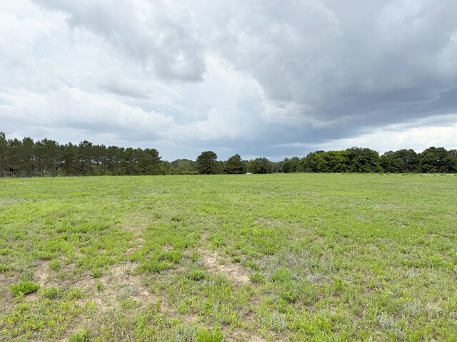 390 County Road 11, Headland, AL 36345 - photo 50