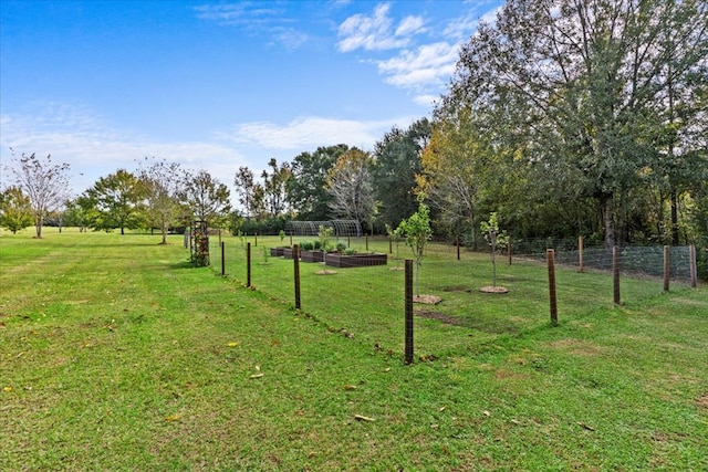 view of yard with a rural view