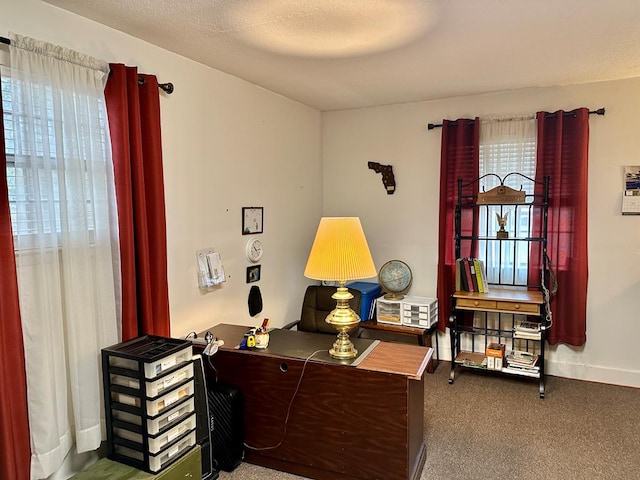 view of carpeted home office