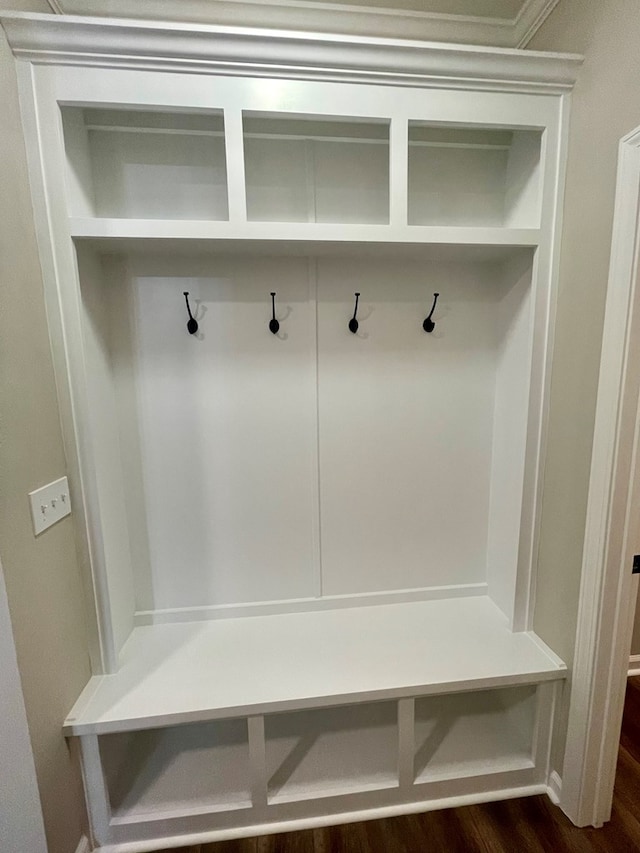 mudroom featuring dark wood-type flooring