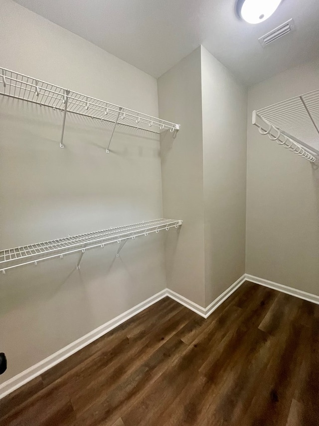 walk in closet featuring dark hardwood / wood-style floors