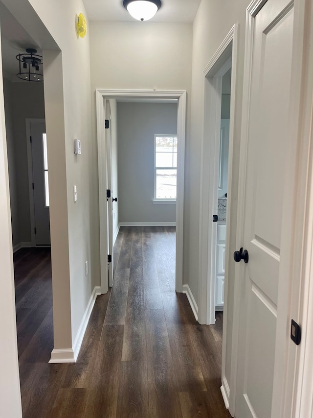 hall featuring dark hardwood / wood-style flooring