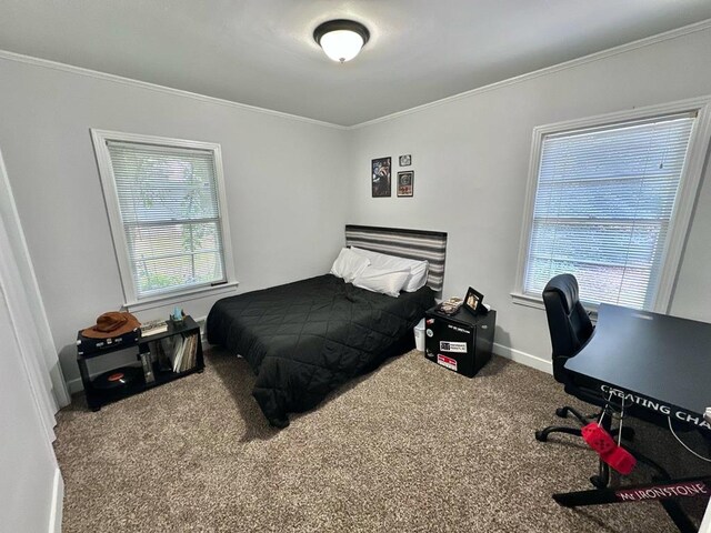 305 Highland Ave, Ozark, AL 36360 - bedroom with carpet, ornamental molding, baseboards, and an office area