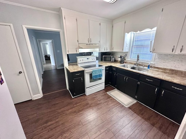 305 Highland Ave, Ozark, AL 36360 - kitchen featuring electric range, a sink, under cabinet range hood, dark cabinetry, and ornamental molding