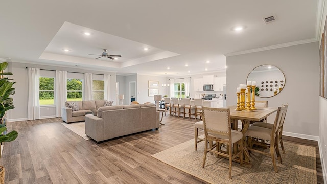 dining space featuring a raised ceiling, a wealth of natural light, light hardwood / wood-style flooring, and ceiling fan