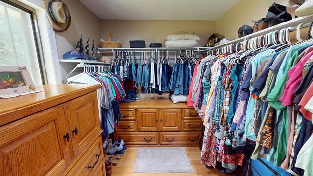 391 Hatton Rd, Dothan, AL 36301 - walk in closet featuring light wood-style floors