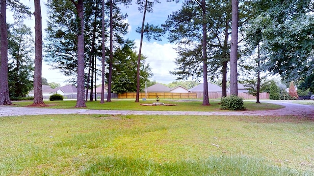 391 Hatton Rd, Dothan, AL 36301 - view of yard