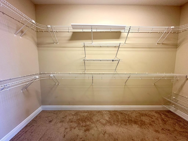 202 Frisco Ln, Enterprise, AL 36330 - spacious closet featuring carpet floors