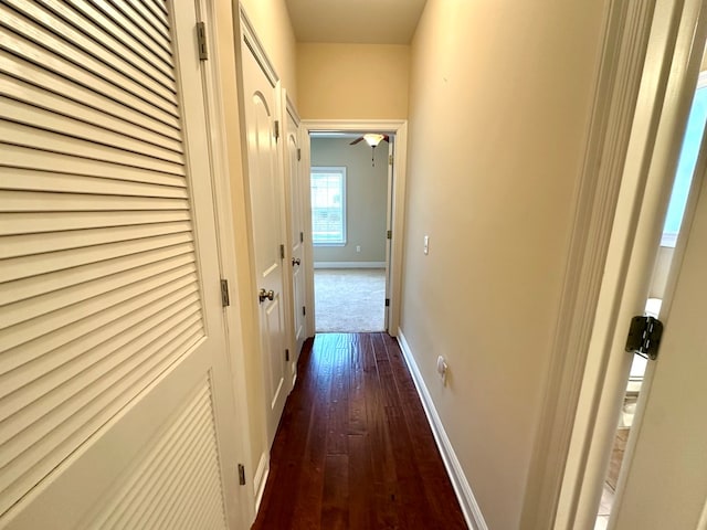 202 Frisco Ln, Enterprise, AL 36330 - hall featuring baseboards and dark wood-style floors