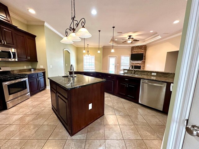 kitchen with a raised ceiling, dark brown cabinets, sink, and stainless steel dishwasher