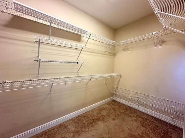 202 Frisco Ln, Enterprise, AL 36330 - walk in closet with carpet flooring