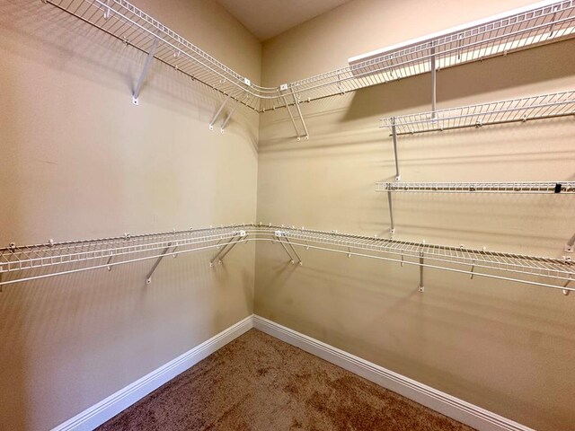 hallway with hardwood / wood-style floors