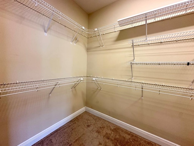 202 Frisco Ln, Enterprise, AL 36330 - walk in closet featuring carpet flooring