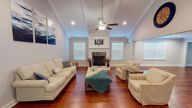 living room featuring a fireplace, a healthy amount of sunlight, and dark wood-type flooring