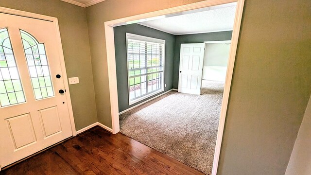 5 Walford Pl, Dothan, AL 36301 - entryway featuring crown molding, dark wood-type flooring, and dark carpet