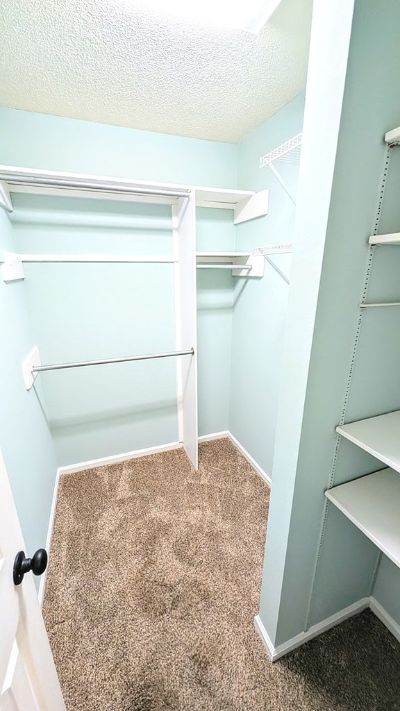 5 Walford Pl, Dothan, AL 36301 - spacious closet featuring carpet flooring