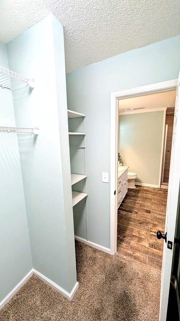 5 Walford Pl, Dothan, AL 36301 - spacious closet with dark carpet