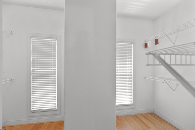 707 Edinburgh Way, Dothan, AL 36305 - walk in closet with light wood-style floors