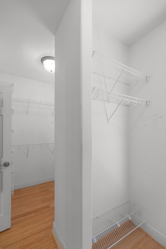 707 Edinburgh Way, Dothan, AL 36305 - walk in closet with light wood finished floors